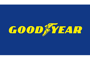 Ganador Premios Calidad y Servicio de la Posventa de Automoción 2019 Marca Que Sorprende | Neumáticos Goodyear